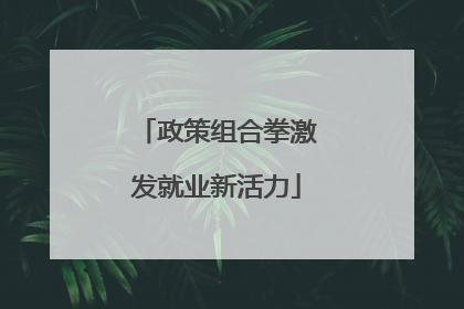 政策组合拳激发就业新活力