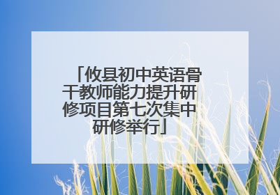 攸县初中英语骨干教师能力提升研修项目第七次集中研修举行