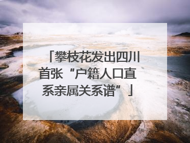 攀枝花发出四川首张“户籍人口直系亲属关系谱”