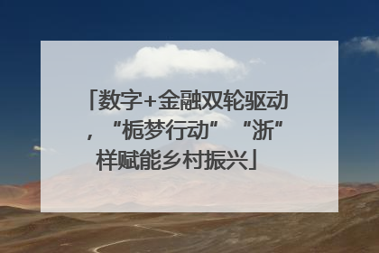 数字+金融双轮驱动，“栀梦行动”“浙”样赋能乡村振兴