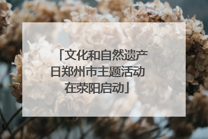 文化和自然遗产日郑州市主题活动在荥阳启动