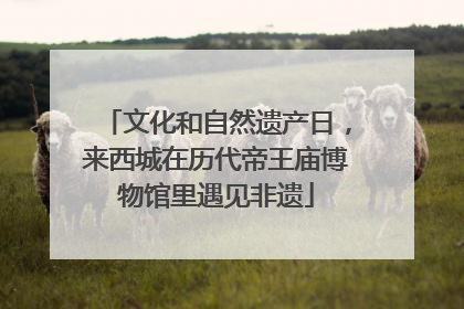 文化和自然遗产日，来西城在历代帝王庙博物馆里遇见非遗