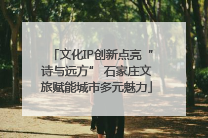 文化IP创新点亮“诗与远方” 石家庄文旅赋能城市多元魅力