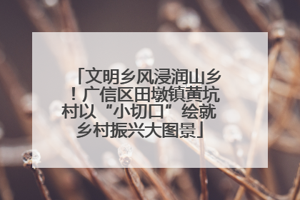 文明乡风浸润山乡！广信区田墩镇黄坑村以“小切口”绘就乡村振兴大图景
