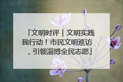 文明时评｜文明实践我行动！市民文明巡访，引领淄博全民志愿