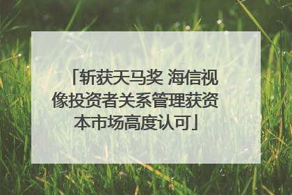 斩获天马奖 海信视像投资者关系管理获资本市场高度认可