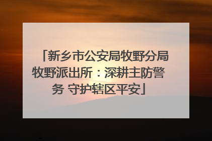 新乡市公安局牧野分局牧野派出所：深耕主防警务 守护辖区平安