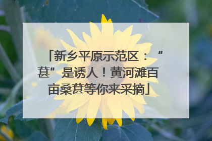 新乡平原示范区：“葚”是诱人！黄河滩百亩桑葚等你来采摘