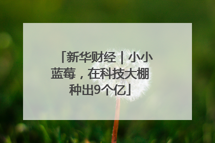新华财经｜小小蓝莓，在科技大棚种出9个亿