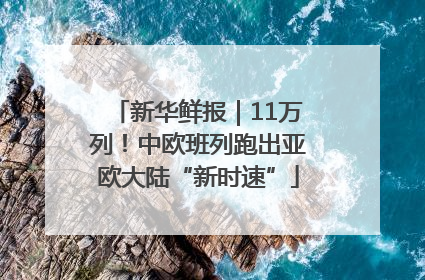新华鲜报｜11万列！中欧班列跑出亚欧大陆“新时速”