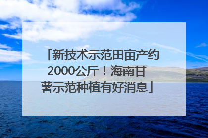 新技术示范田亩产约2000公斤！海南甘薯示范种植有好消息