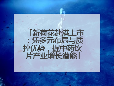 新荷花赴港上市：凭多元布局与质控优势，掘中药饮片产业增长潜能