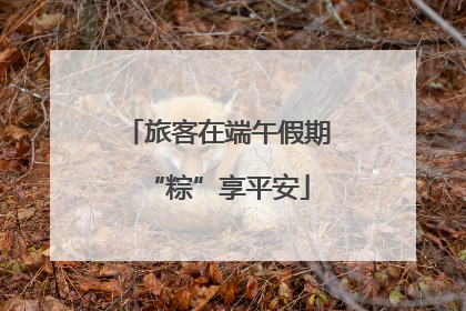 旅客在端午假期“粽”享平安