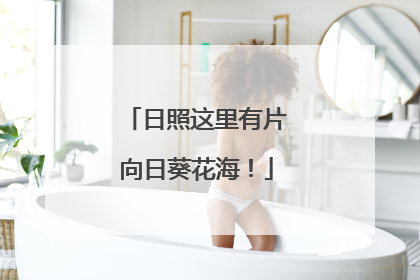 日照这里有片向日葵花海！