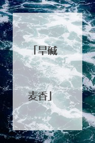 旱碱麦香