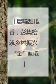 晨曦甜瓜香，彭集绘就乡村振兴“金”画卷