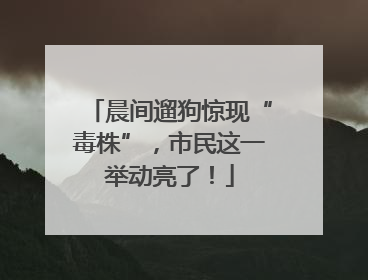 晨间遛狗惊现“毒株”，市民这一举动亮了！