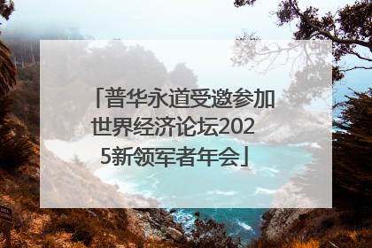 普华永道受邀参加世界经济论坛2025新领军者年会