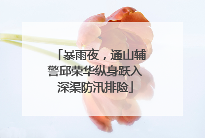 暴雨夜，通山辅警邱荣华纵身跃入深渠防汛排险