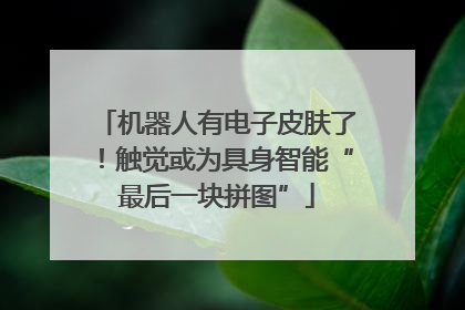 机器人有电子皮肤了！触觉或为具身智能“最后一块拼图”