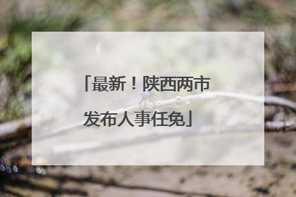 最新！陕西两市发布人事任免