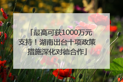 最高可获1000万元支持！湖南出台十项政策措施深化对德合作
