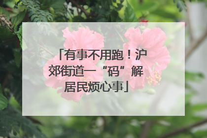 有事不用跑！沪郊街道一“码”解居民烦心事