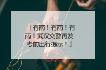 有雨！有雨！有雨！武汉交警再发考前出行提示！