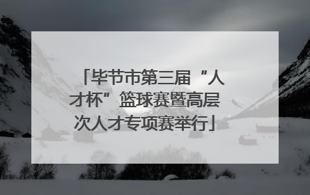 毕节市第三届“人才杯”篮球赛暨高层次人才专项赛举行
