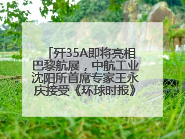 歼35A即将亮相巴黎航展，中航工业沈阳所首席专家王永庆接受《环球时报》专访：未来数量可以有很多