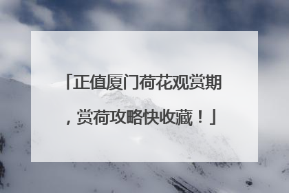 正值厦门荷花观赏期，赏荷攻略快收藏！