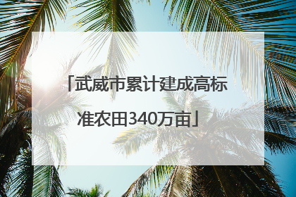 武威市累计建成高标准农田340万亩