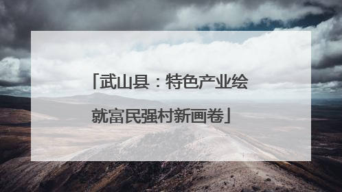 武山县：特色产业绘就富民强村新画卷