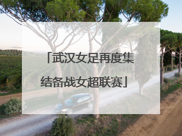武汉女足再度集结备战女超联赛