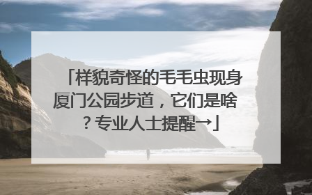 样貌奇怪的毛毛虫现身厦门公园步道，它们是啥？专业人士提醒→