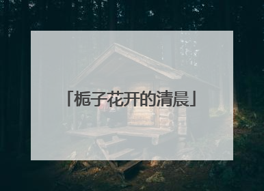 栀子花开的清晨