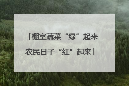 棚室蔬菜“绿”起来 农民日子“红”起来