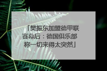 樊振东加盟德甲联赛幕后：德国俱乐部称一切来得太突然