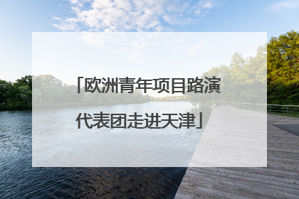 欧洲青年项目路演代表团走进天津
