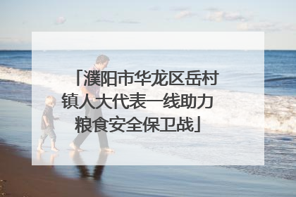 濮阳市华龙区岳村镇人大代表一线助力粮食安全保卫战