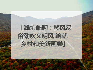 潍坊临朐：移风易俗劲吹文明风 绘就乡村和美新画卷