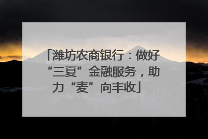 潍坊农商银行：做好“三夏”金融服务，助力“麦”向丰收