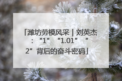 潍坊劳模风采｜刘英杰：“1”“1.01”“2”背后的奋斗密码