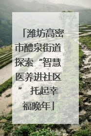 潍坊高密市醴泉街道探索“智慧医养进社区” 托起幸福晚年