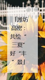 潍坊高密：共绘“三夏”好“丰”景