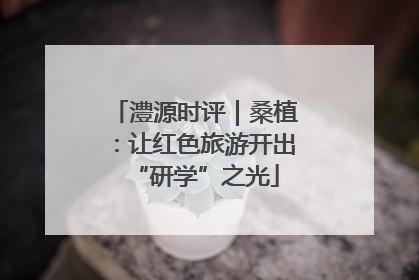 澧源时评｜桑植：让红色旅游开出“研学”之光