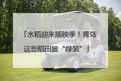 水稻迎来插秧季！青岛这些稻田披“绿装”