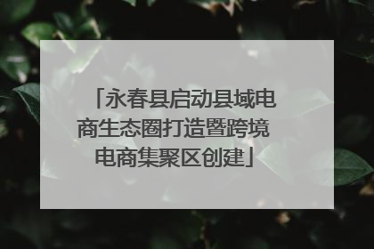 永春县启动县域电商生态圈打造暨跨境电商集聚区创建