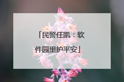 民警任凯：软件园里护平安