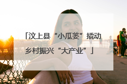 汶上县“小瓜蒌”撬动乡村振兴“大产业”